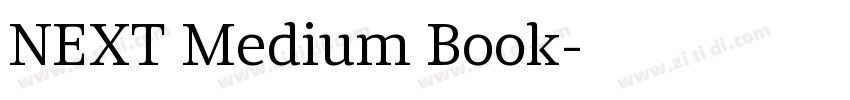 NEXT Medium Book字体转换